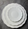 White Porcelain Dinner Plate Series